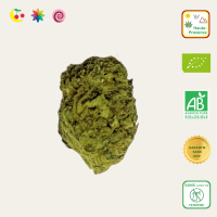 Fleurs CBD de Cookies - Le Canebier en Provence8